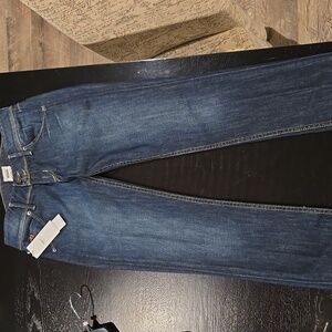 NWT! Hudson Collin Skinny Jean 26